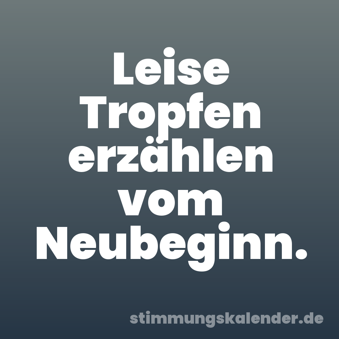 Leise Tropfen erzählen vom Neubeginn.