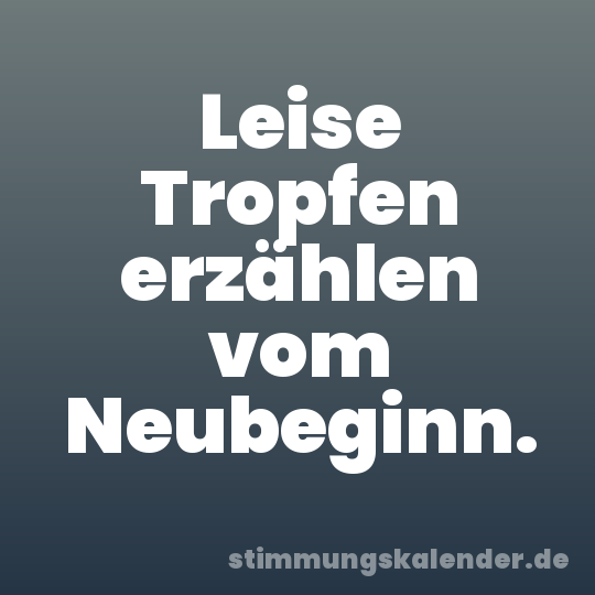 Leise Tropfen erzählen vom Neubeginn.
