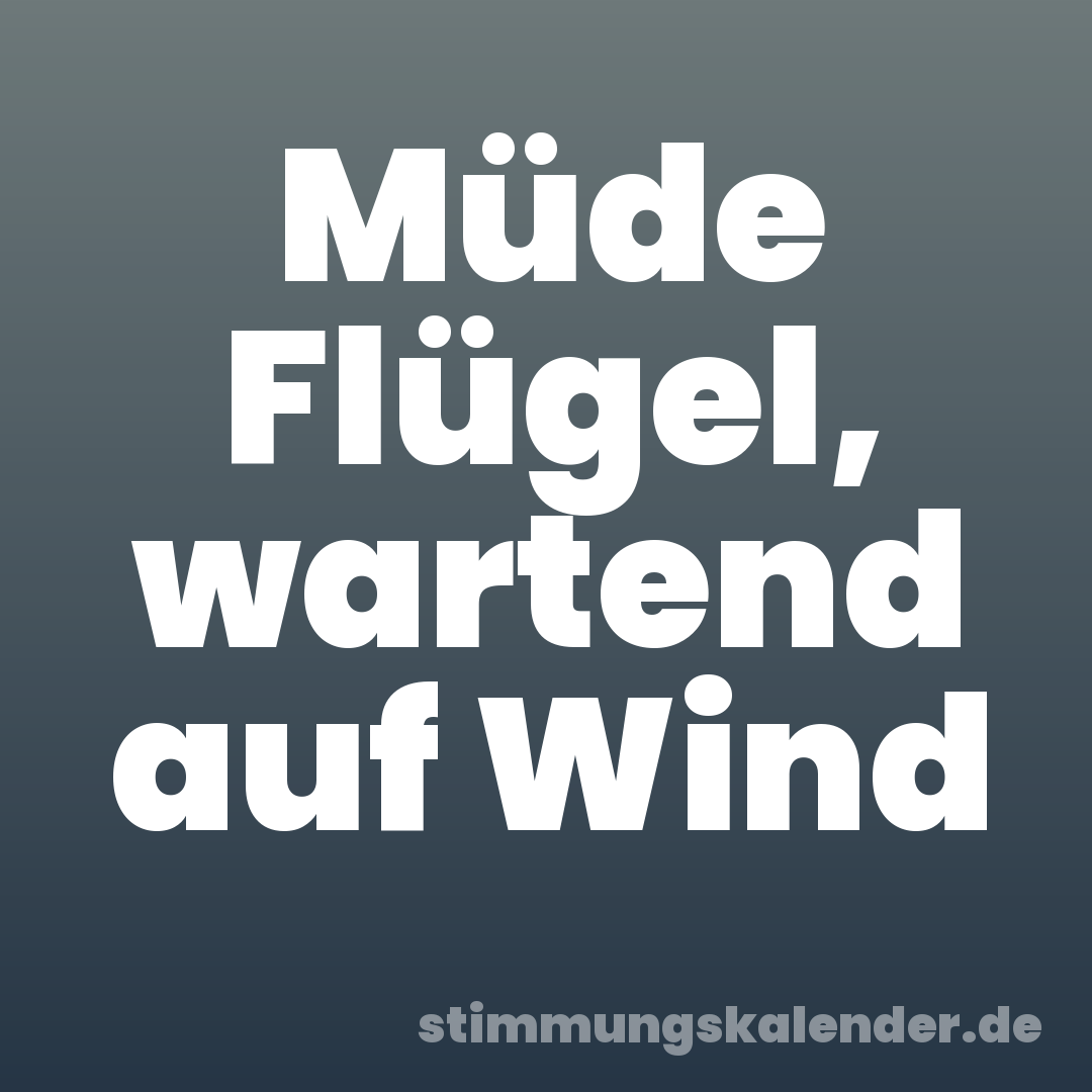 Müde Flügel, wartend auf Wind