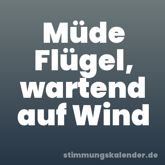 Müde Flügel, wartend auf Wind