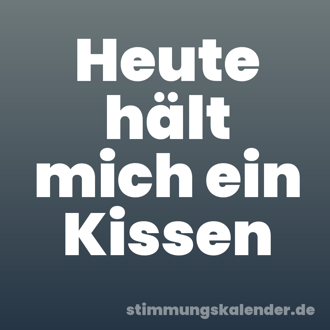 Heute hält mich ein Kissen