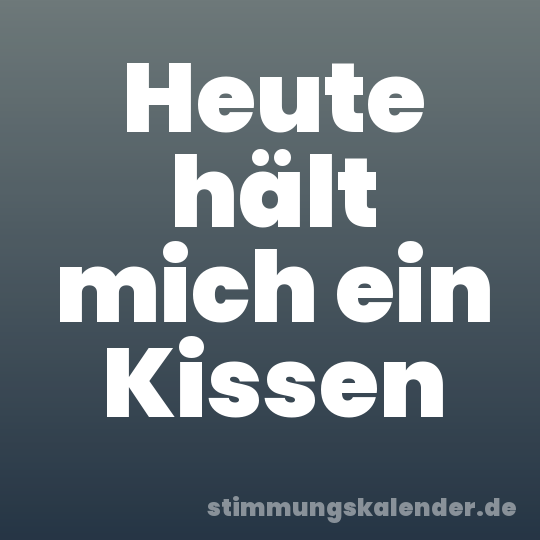 Heute hält mich ein Kissen