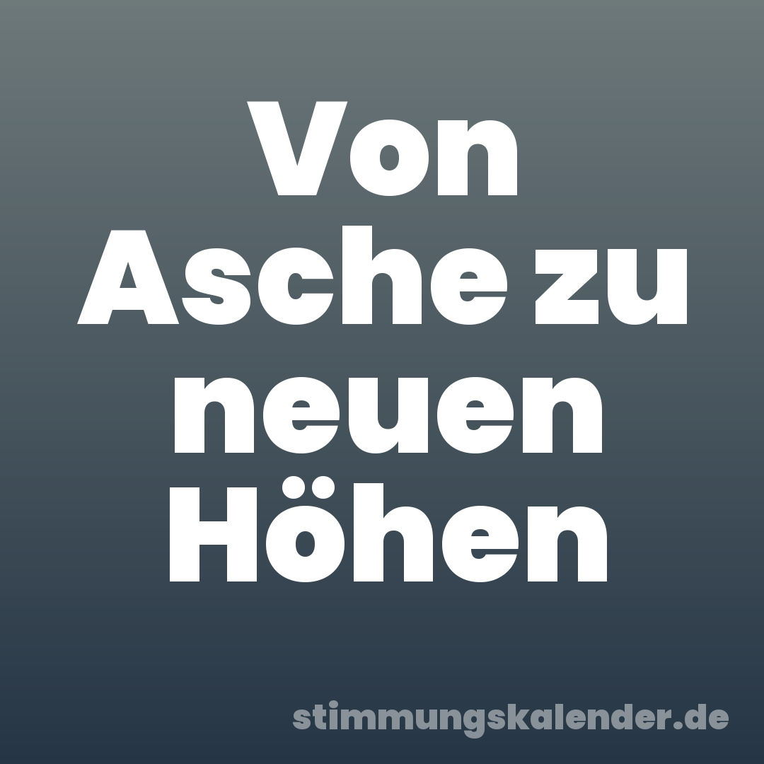 Von Asche zu neuen Höhen