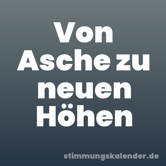 Von Asche zu neuen Höhen