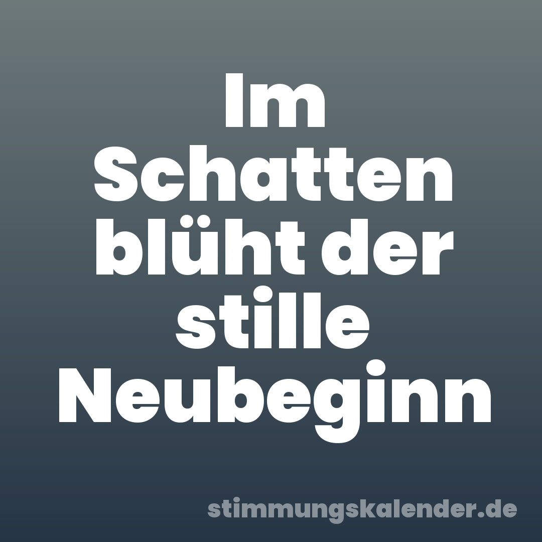 Im Schatten blüht der stille Neubeginn