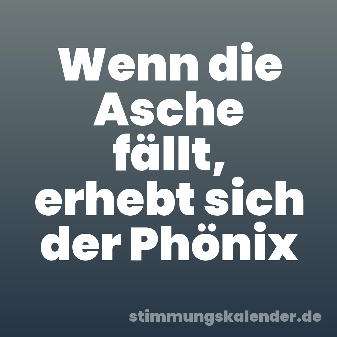 Wenn die Asche fällt, erhebt sich der Phönix