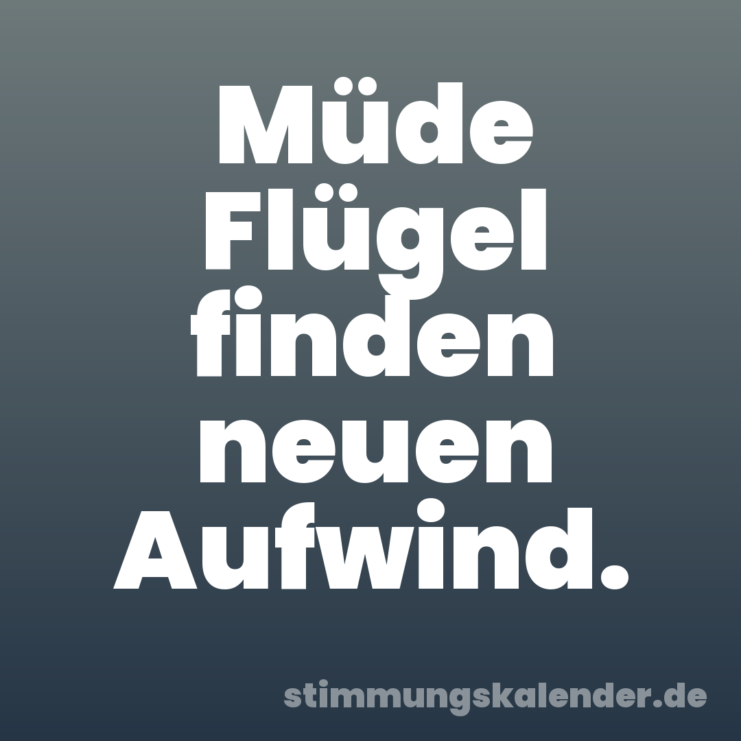 Müde Flügel finden neuen Aufwind.