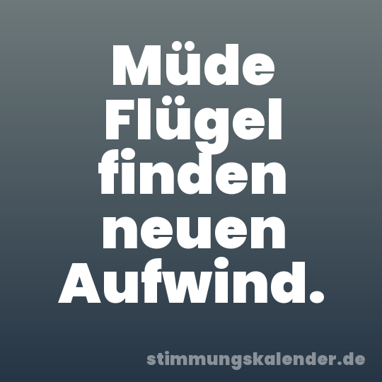 Müde Flügel finden neuen Aufwind.