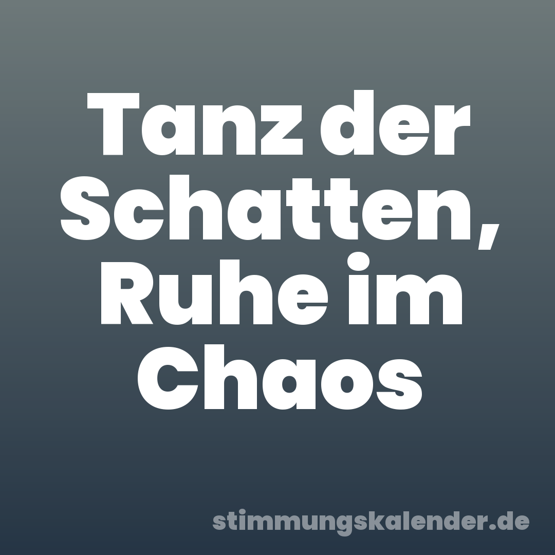 Tanz der Schatten, Ruhe im Chaos