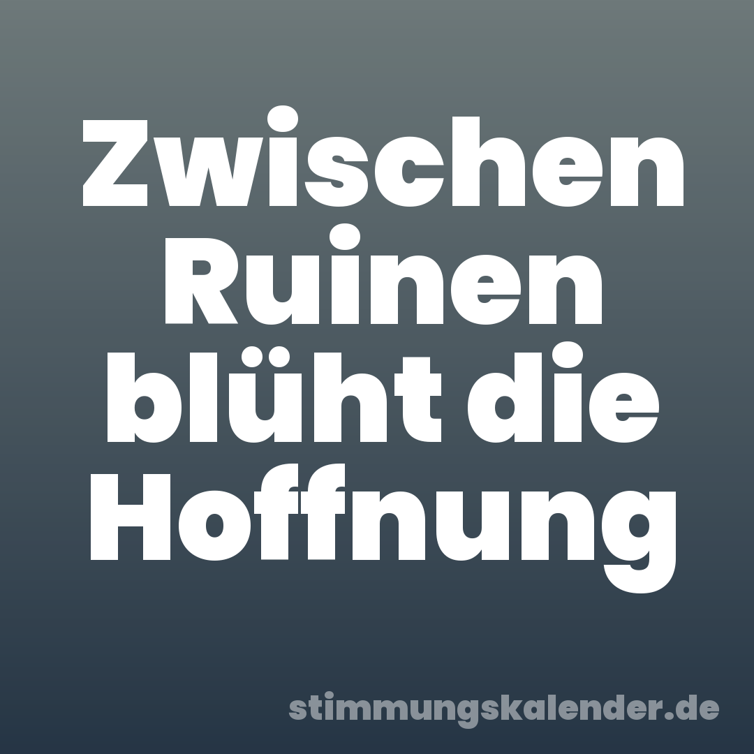 Zwischen Ruinen blüht die Hoffnung