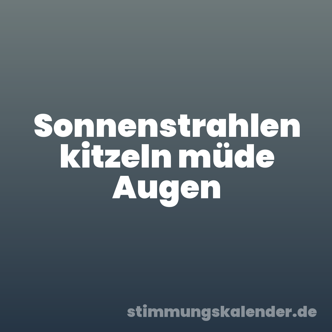 Sonnenstrahlen kitzeln müde Augen