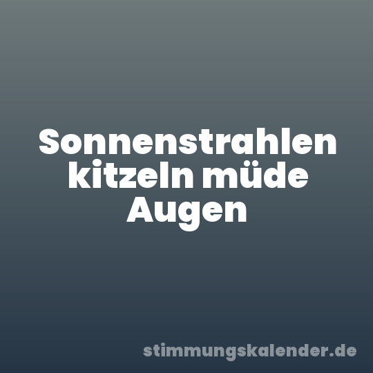 Sonnenstrahlen kitzeln müde Augen