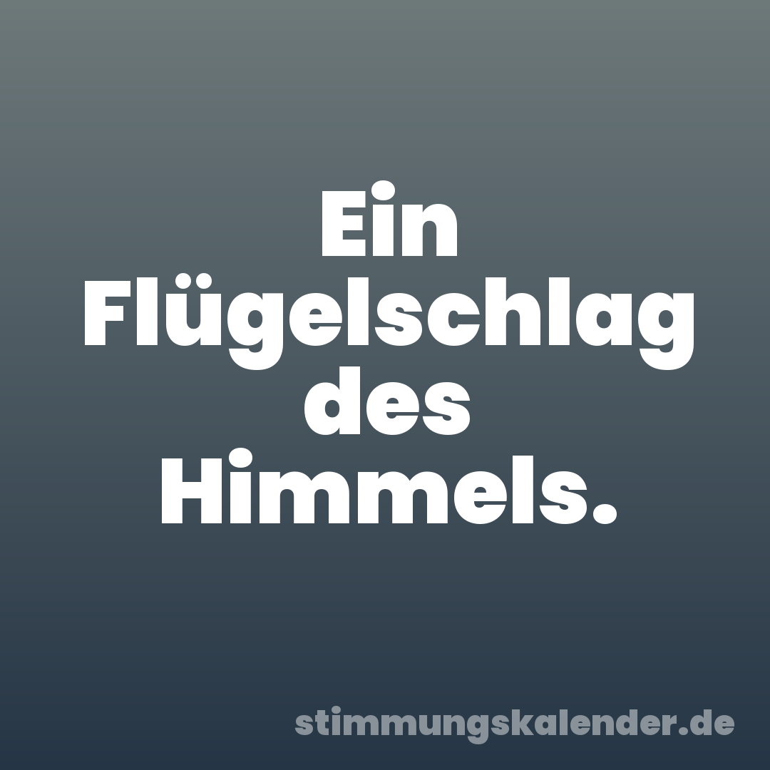 Ein Flügelschlag des Himmels.