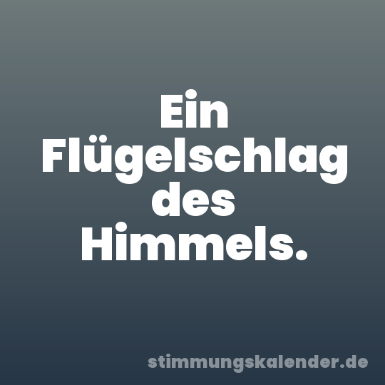 Ein Flügelschlag des Himmels.