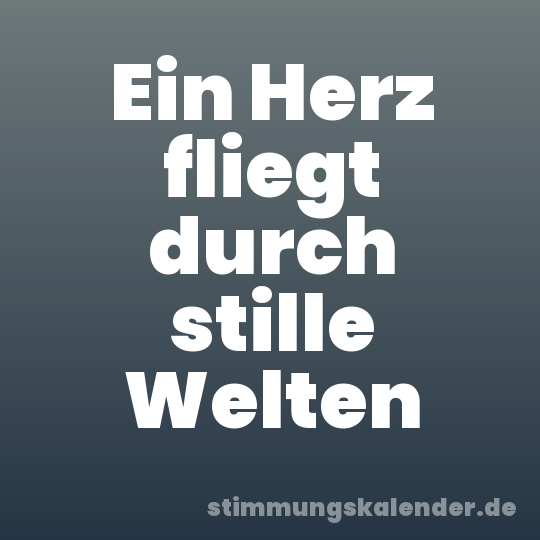 Ein Herz fliegt durch stille Welten