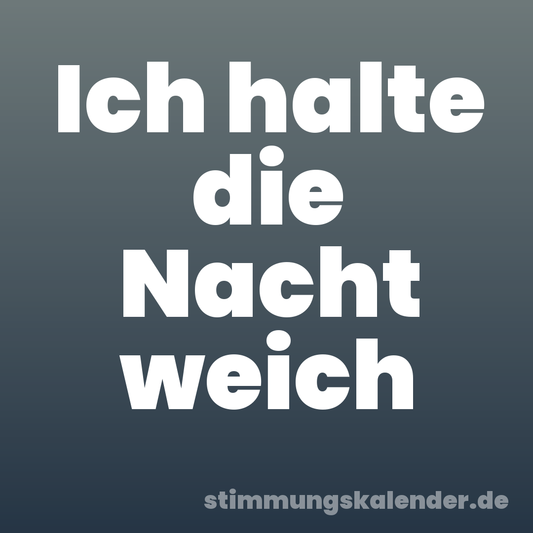 Ich halte die Nacht weich