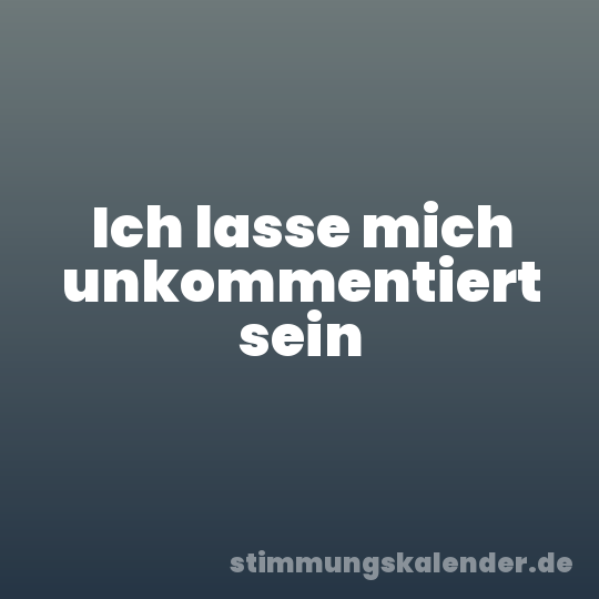Ich lasse mich unkommentiert sein