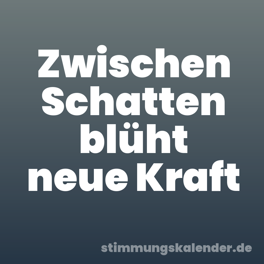 Zwischen Schatten blüht neue Kraft