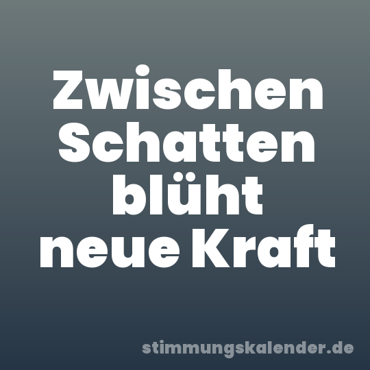 Zwischen Schatten blüht neue Kraft