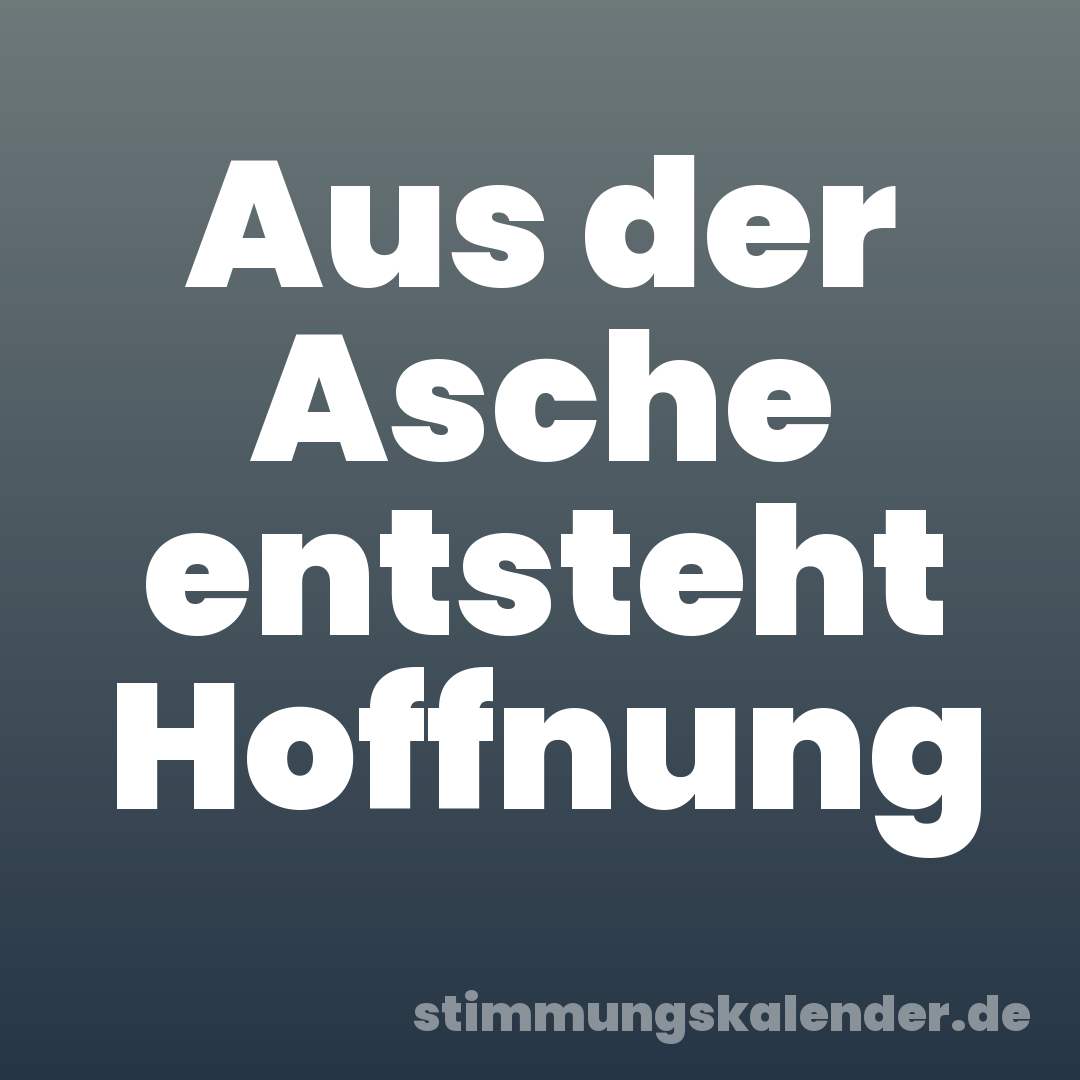 Aus der Asche entsteht Hoffnung