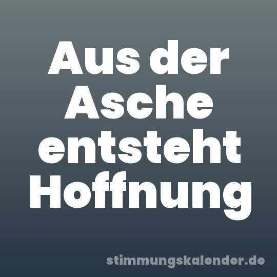 Aus der Asche entsteht Hoffnung