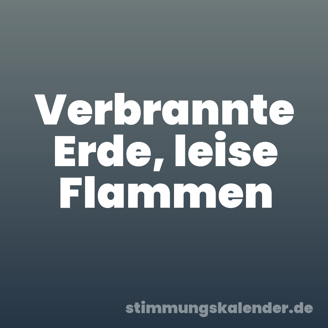 Verbrannte Erde, leise Flammen