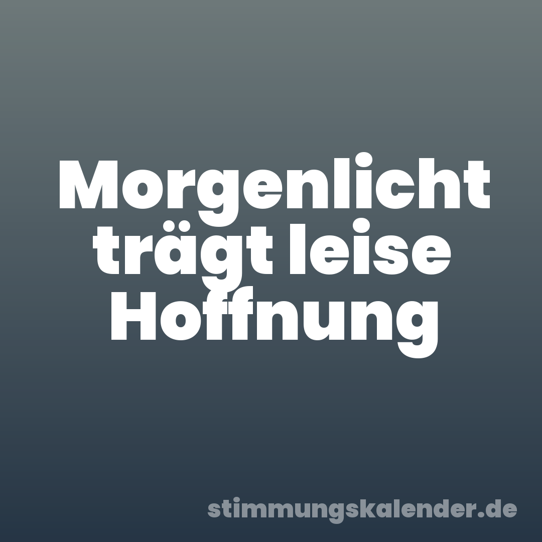Morgenlicht trägt leise Hoffnung