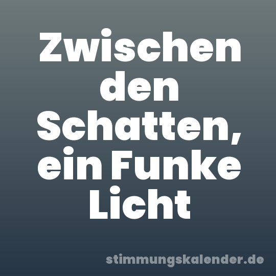 Zwischen den Schatten, ein Funke Licht