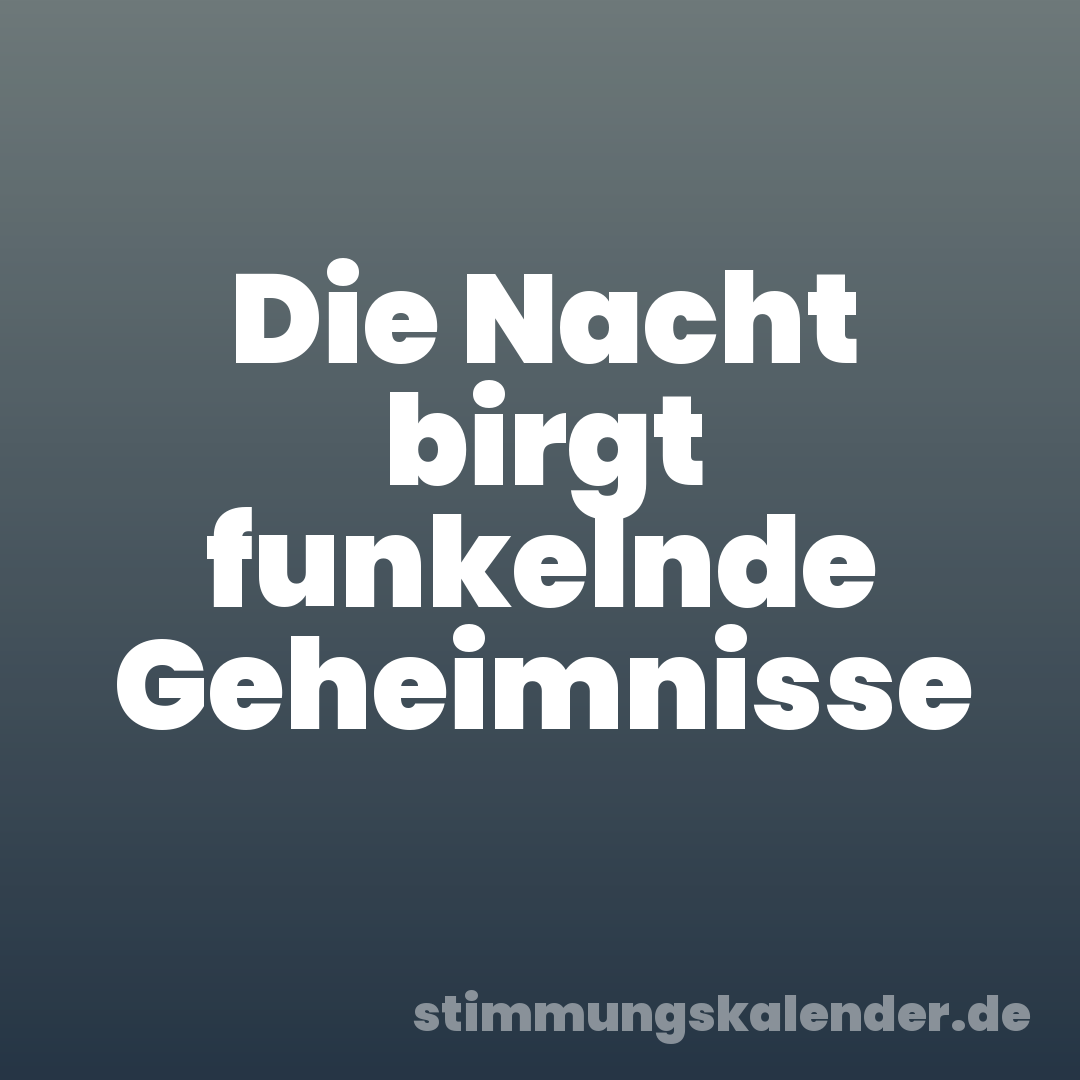 Die Nacht birgt funkelnde Geheimnisse