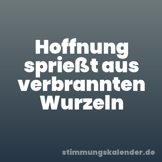 Hoffnung sprießt aus verbrannten Wurzeln