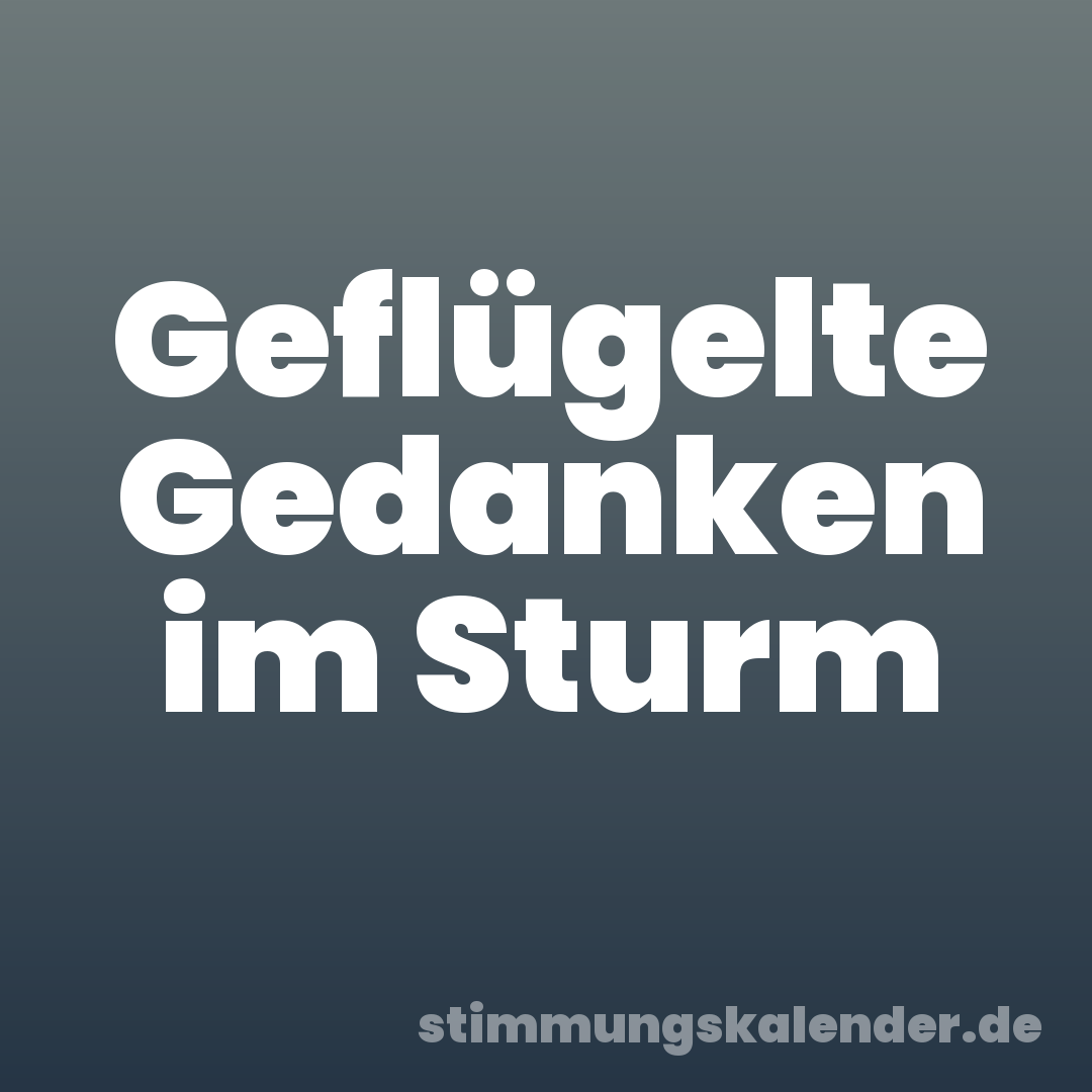 Geflügelte Gedanken im Sturm