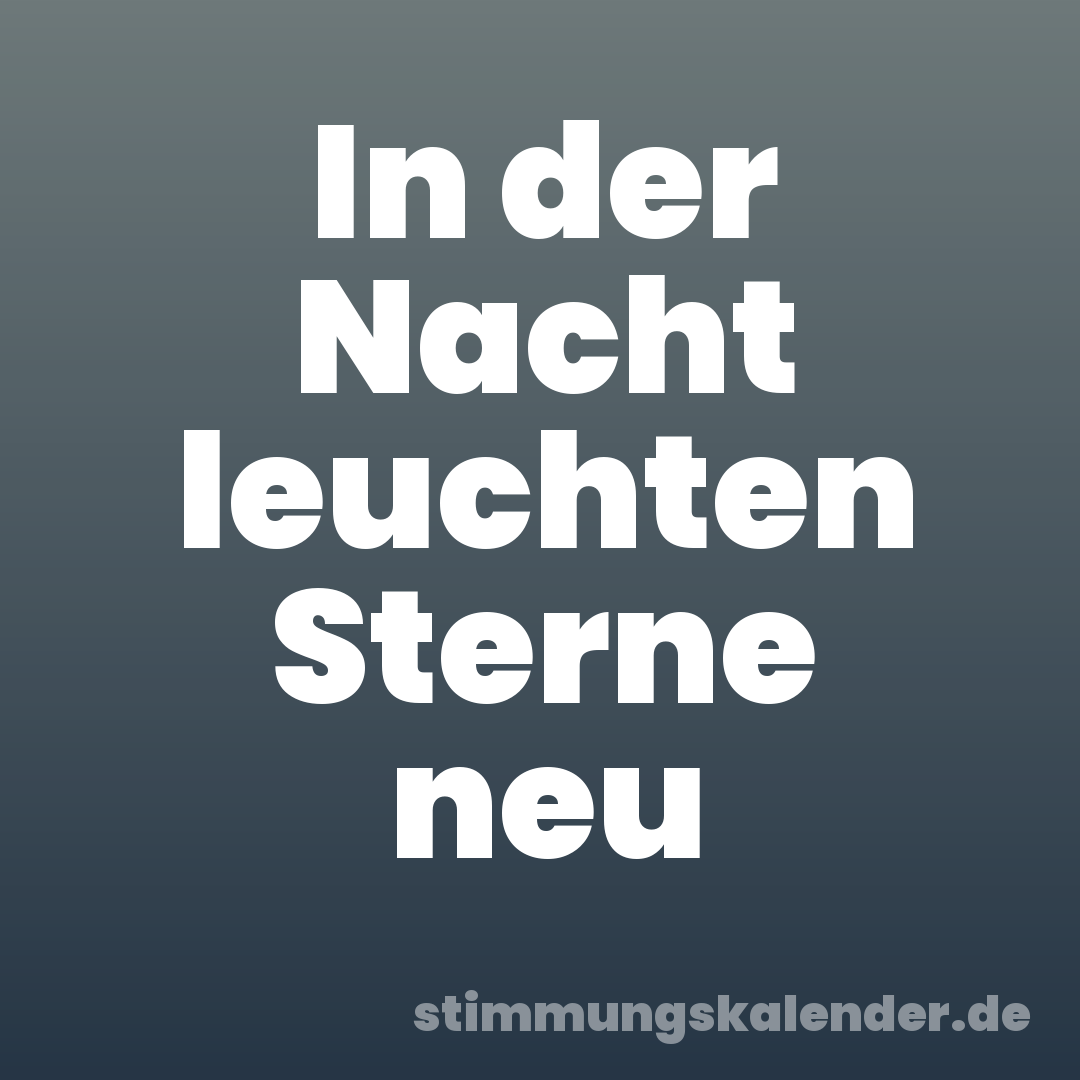 In der Nacht leuchten Sterne neu
