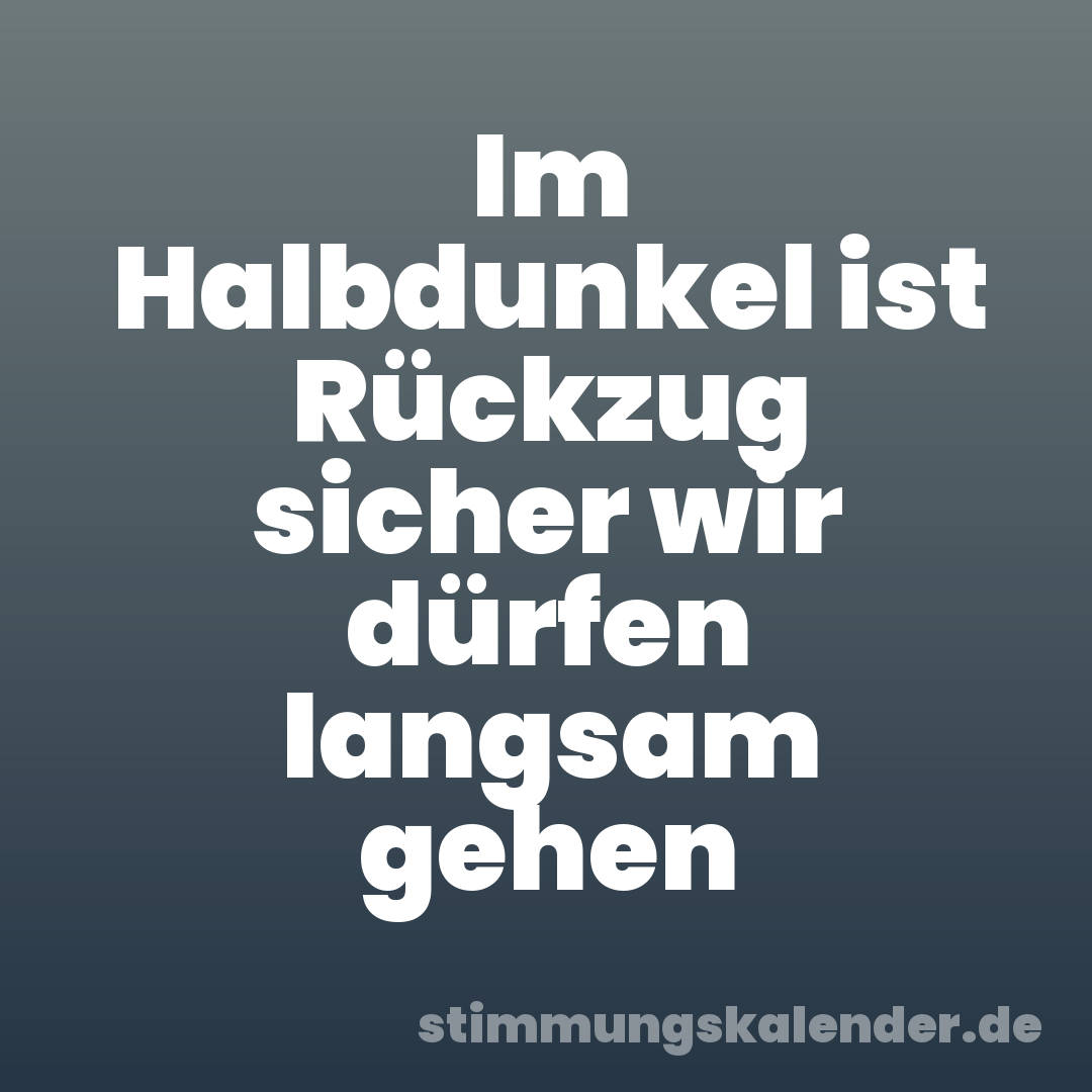 Im Halbdunkel ist Rückzug sicher wir dürfen langsam gehen