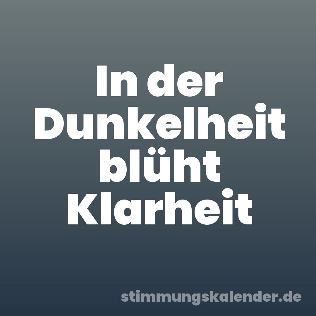 In der Dunkelheit blüht Klarheit