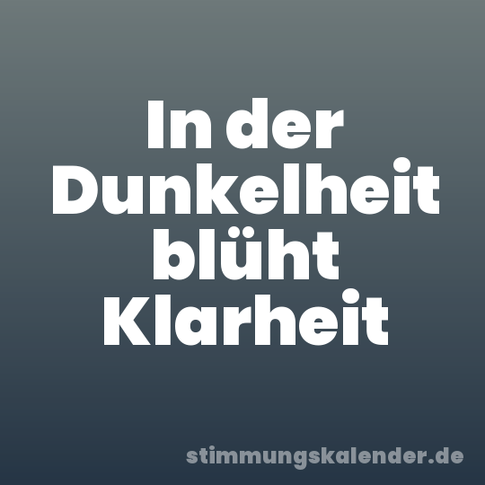 In der Dunkelheit blüht Klarheit
