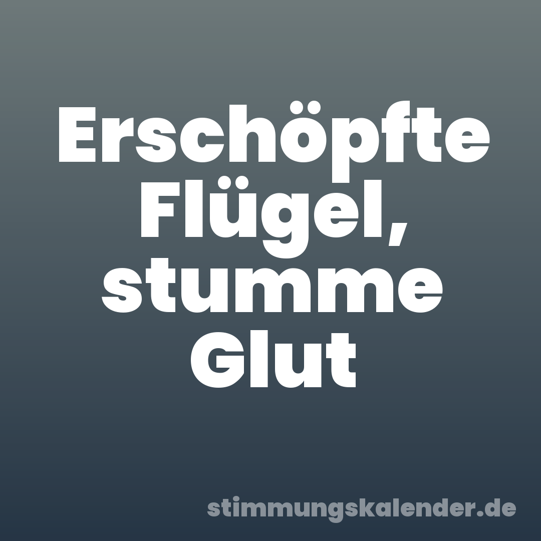 Erschöpfte Flügel, stumme Glut