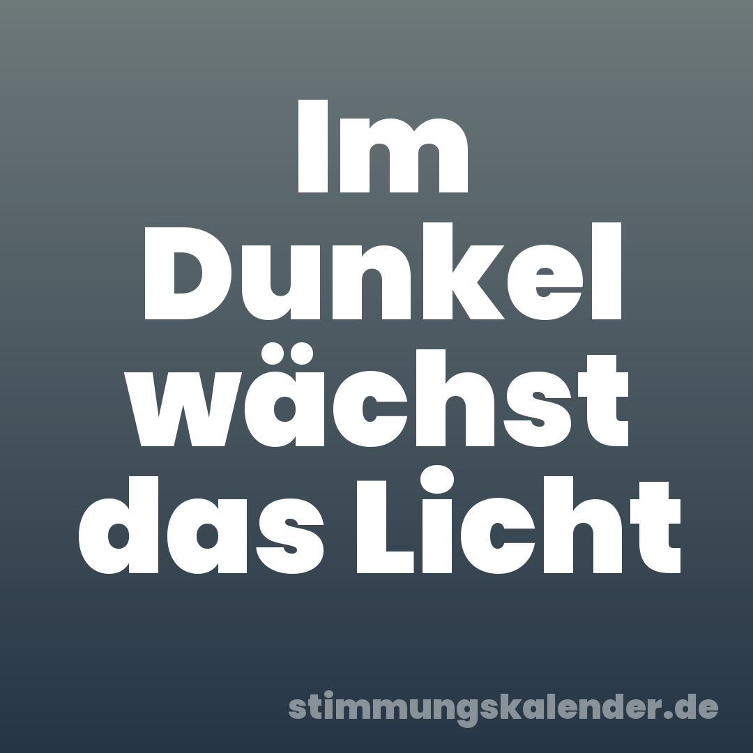 Im Dunkel wächst das Licht