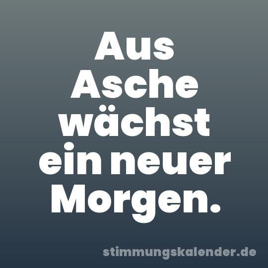 Aus Asche wächst ein neuer Morgen.