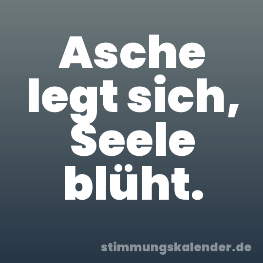 Asche legt sich, Seele blüht.