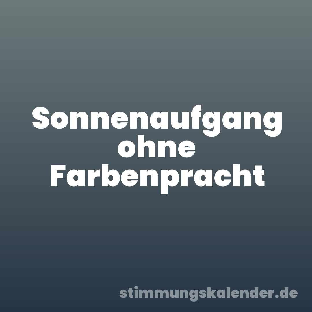 Sonnenaufgang ohne Farbenpracht