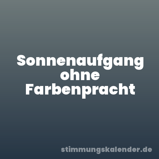 Sonnenaufgang ohne Farbenpracht