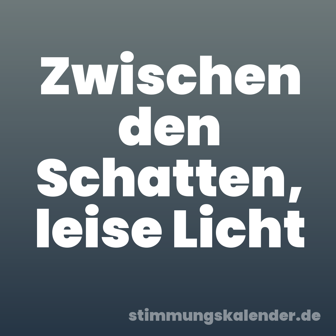 Zwischen den Schatten, leise Licht