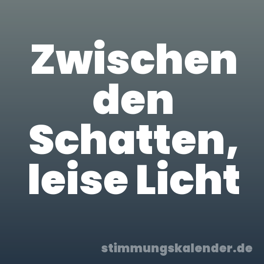 Zwischen den Schatten, leise Licht