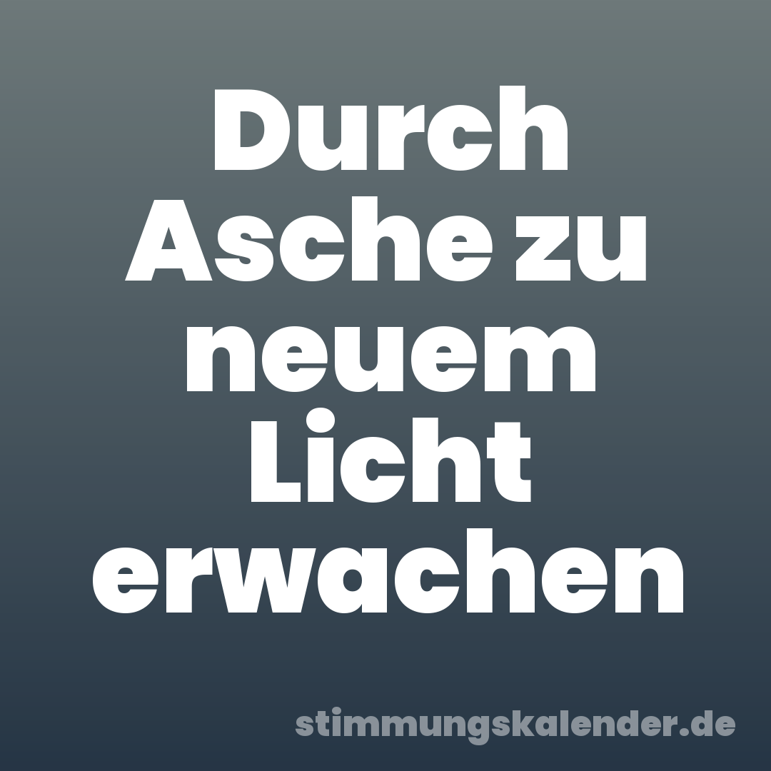 Durch Asche zu neuem Licht erwachen