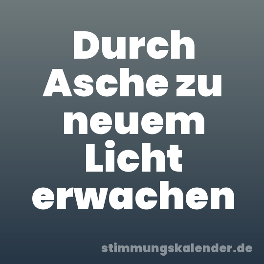 Durch Asche zu neuem Licht erwachen