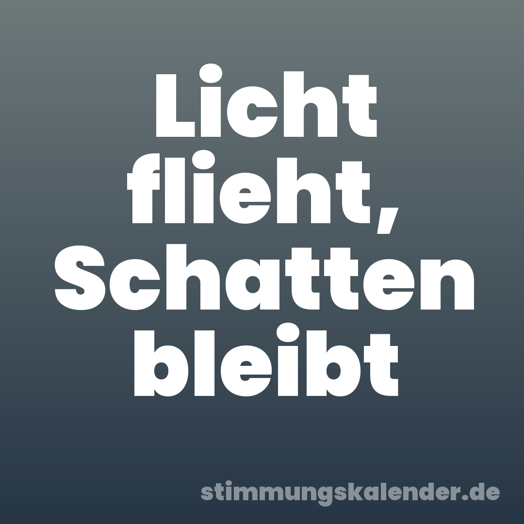 Licht flieht, Schatten bleibt