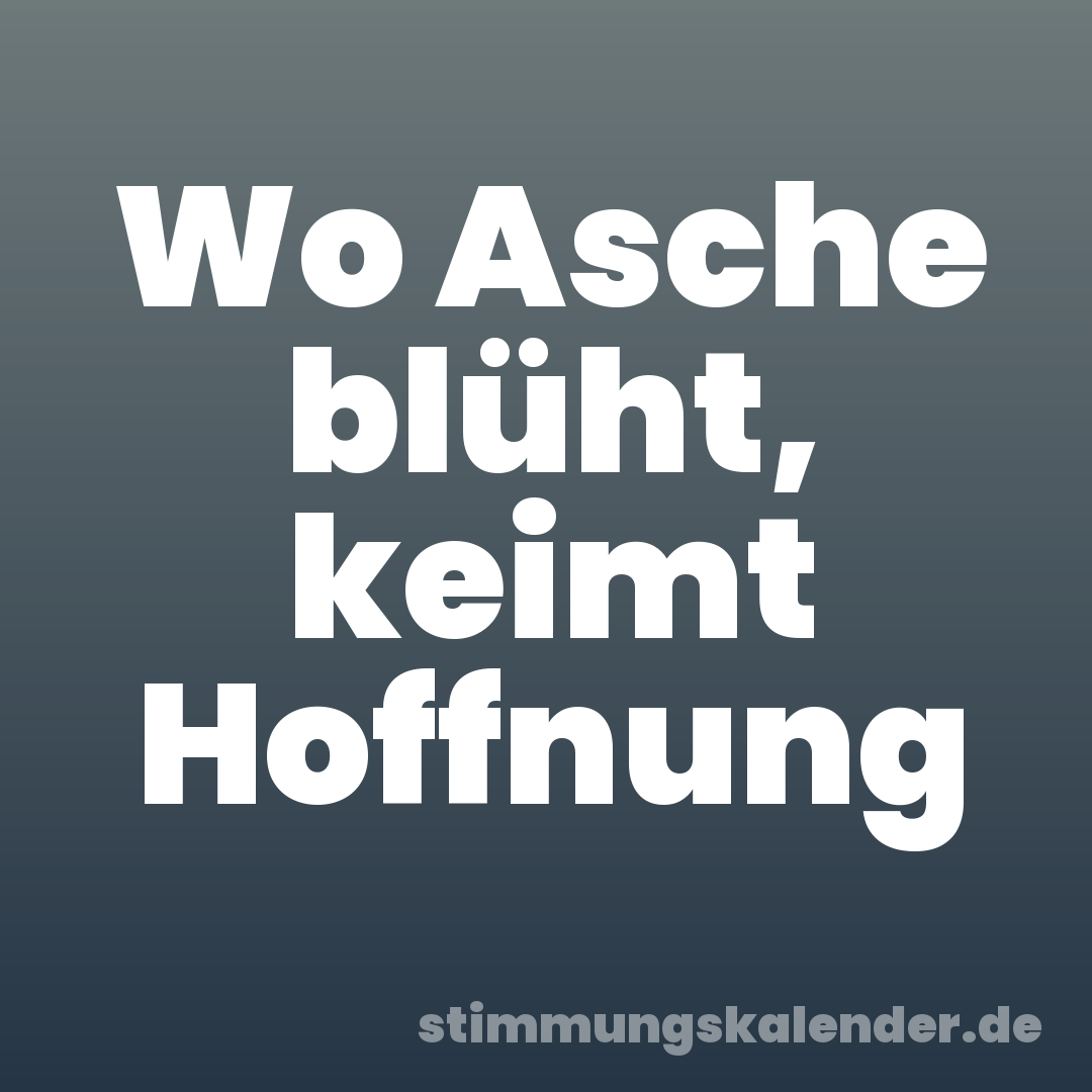 Wo Asche blüht, keimt Hoffnung