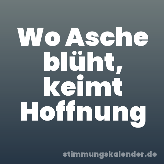 Wo Asche blüht, keimt Hoffnung