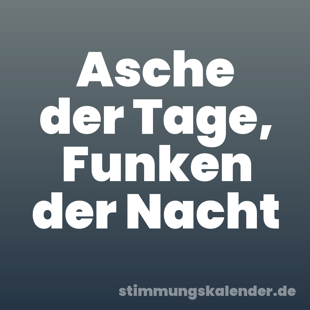 Asche der Tage, Funken der Nacht