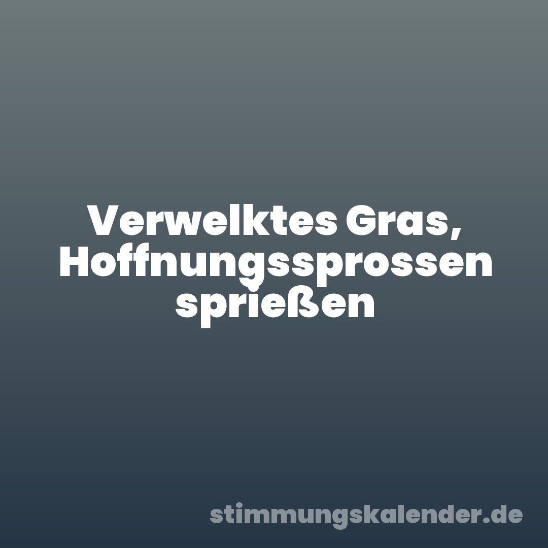 Verwelktes Gras, Hoffnungssprossen sprießen